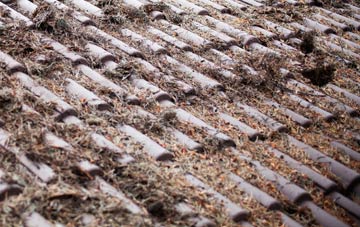 Bowbank roof cleaning companies